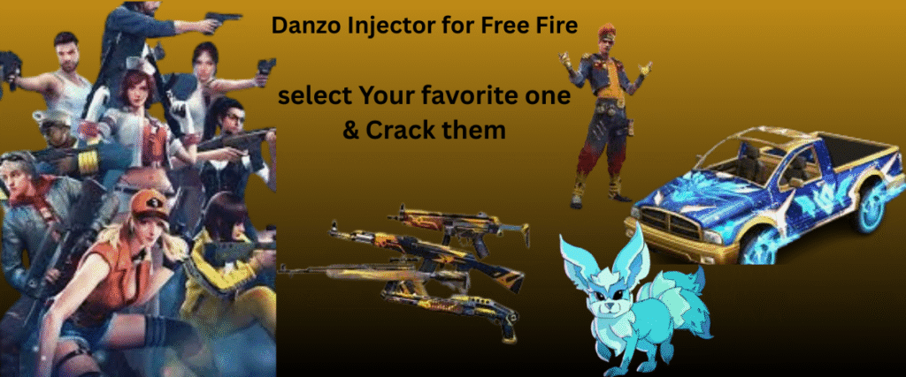 danzo injector ff 